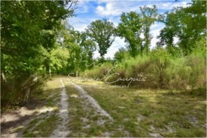 Propriété de chasse en Sologne